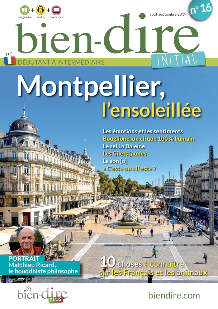 Odoo - Sample 3 for three columns