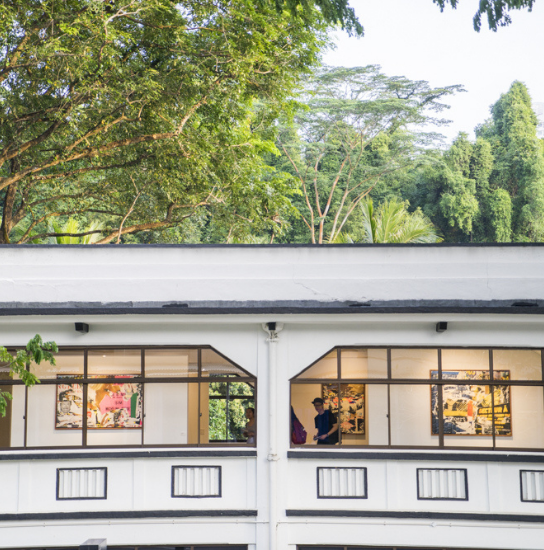 Odoo • Image and Text