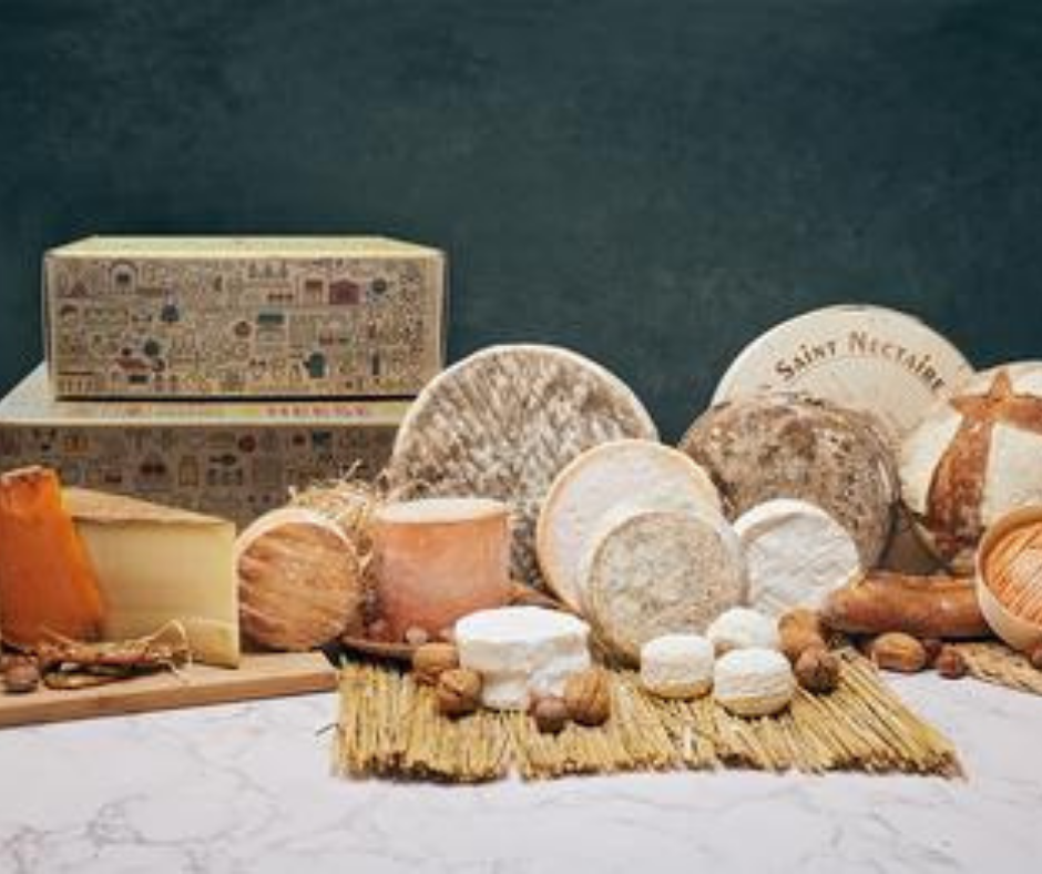 Odoo • Image and Text