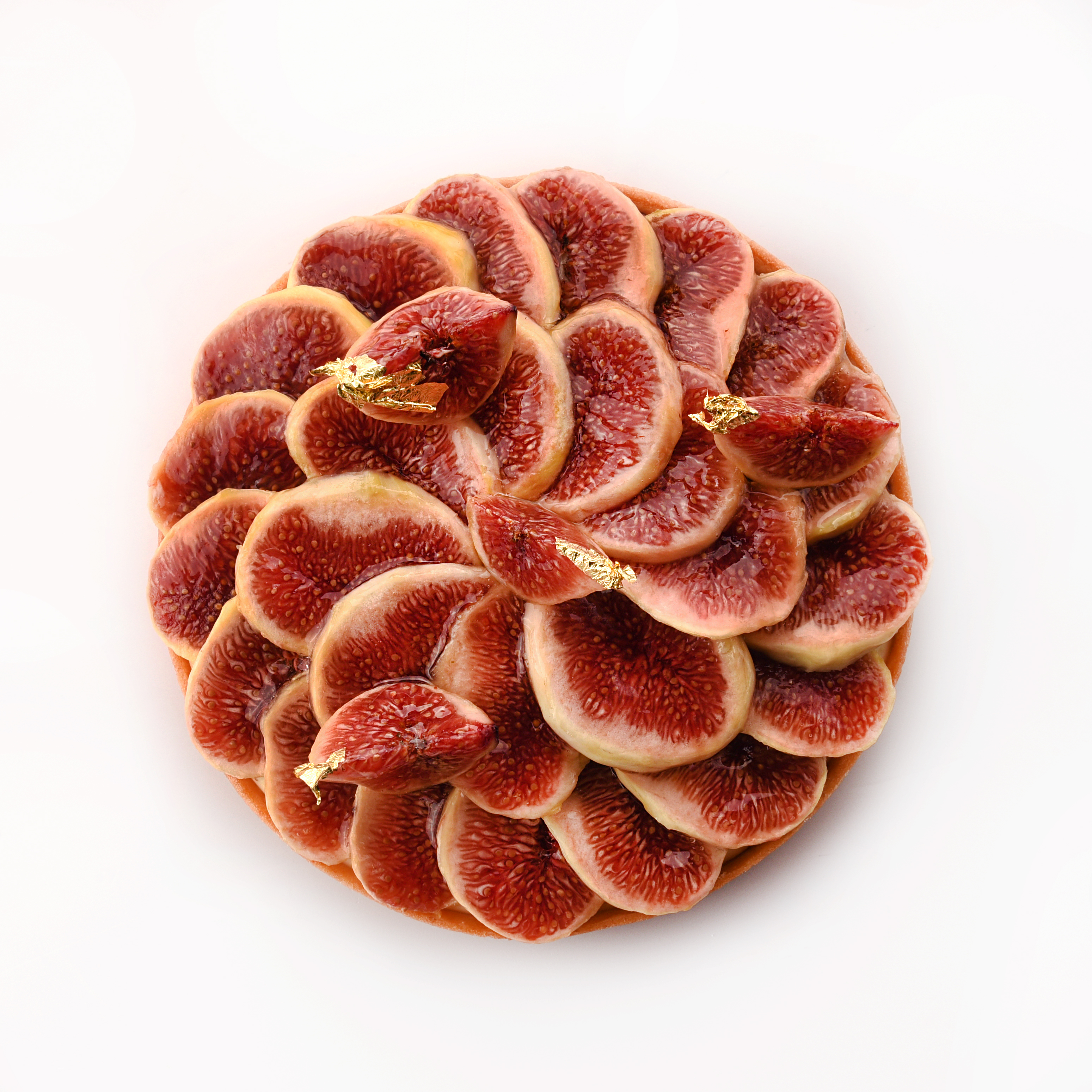 Odoo • Text and Image