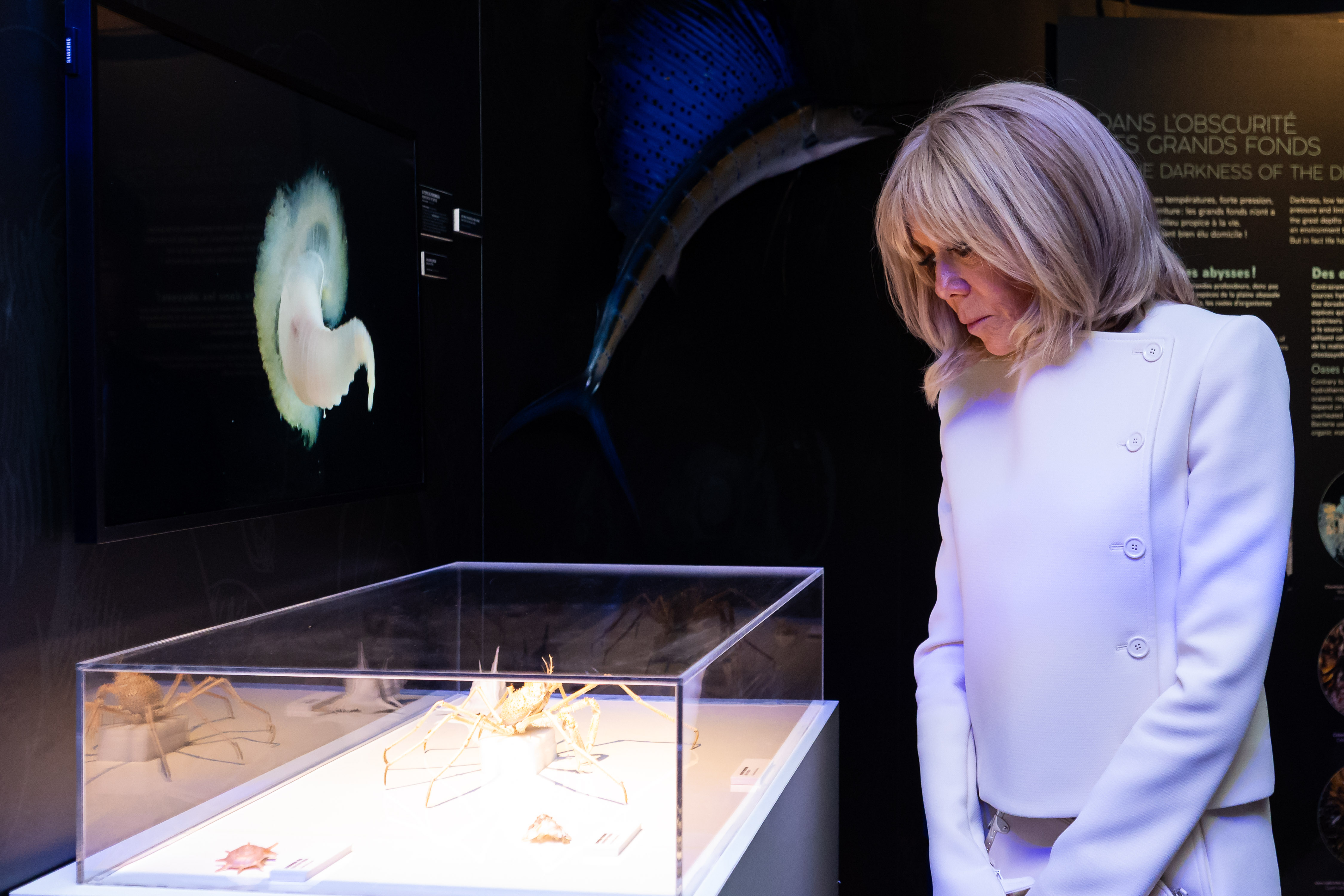 Odoo • Text and Image