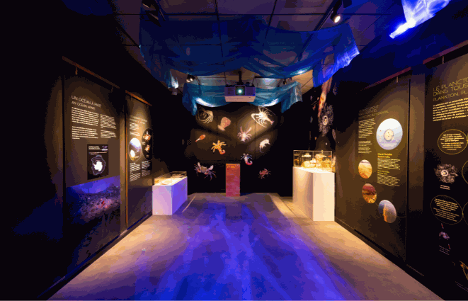 Odoo • Image and Text