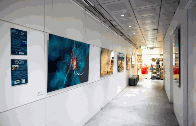 Odoo • Image and Text